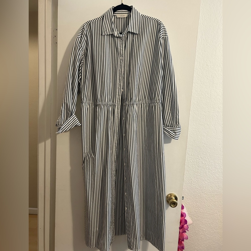 Everlane pinstriped Shirt Dress